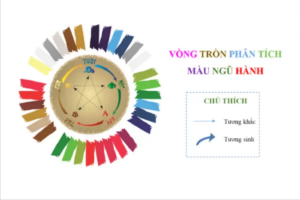 Phong-thuy-mau-son-nha-theo-tuoi-12-768x512